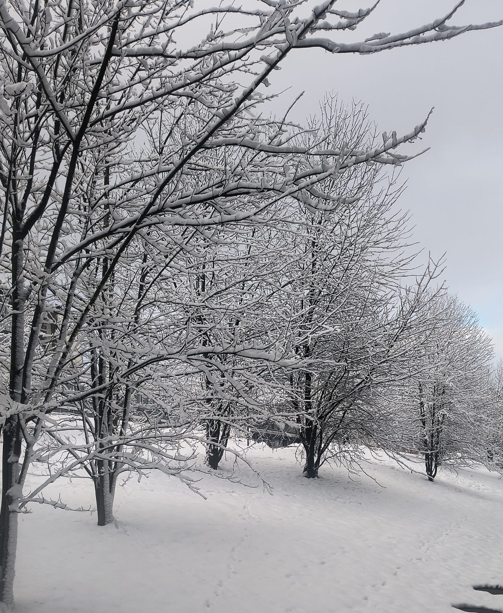 Zurich travel photo 2